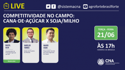Live - Competitividade no campo: Cana-de-açúcar x Soja/Milho