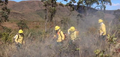 Unidos na prevenção de incêndios rurais