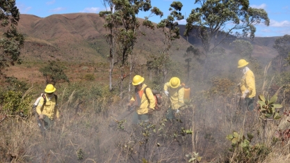 Unidos na prevenção de incêndios rurais
