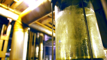 Indicadores CEPEA/ESALQ apontam que, em maio, os preços dos etanóis recuaram no Centro-Sul e aumentaram no Nordeste