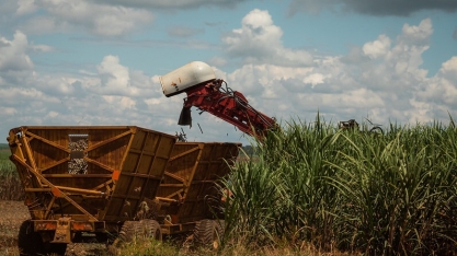 Encontro debate competitividade entre cana, soja e milho