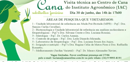 Matologia, uma das áreas de pesquisa do Centro de Cana do IAC, receberá a vista da caravana Cana Substantivo Feminino