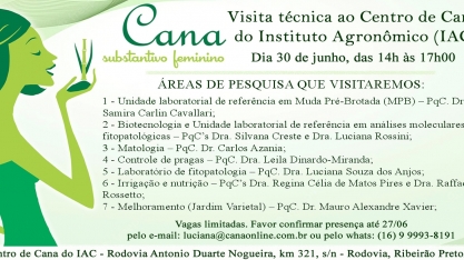 Matologia, uma das áreas de pesquisa do Centro de Cana do IAC, receberá a vista da caravana Cana Substantivo Feminino