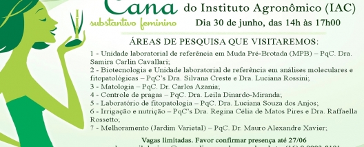 Matologia, uma das áreas de pesquisa do Centro de Cana do IAC, receberá a vista da caravana Cana Substantivo Feminino