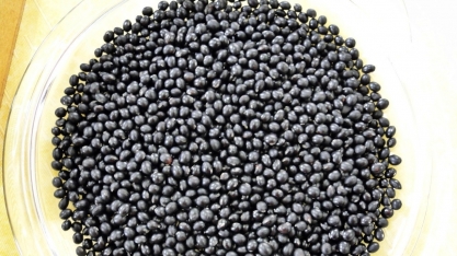 Soja preta - As propriedades funcionais da soja beneficiam a saúde dos seus consumidores