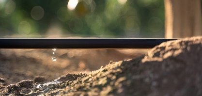 Variáveis climáticas e suas implicações na agricultura: Influência da temperatura nas plantas