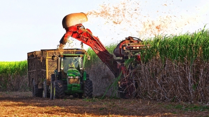 Safra no Centro-Sul acumula 107 milhões de toneladas