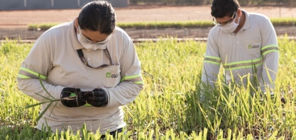 Cocal está entre as Melhores Empresas para Trabalhar no Agronegócio 2022
