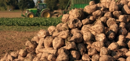 Produção de açúcar da Ucrânia deve totalizar 1,1 mi t em 2022/23