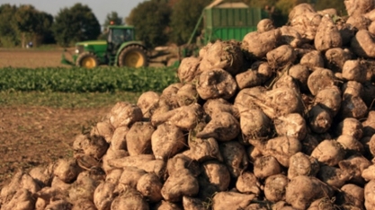 Produção de açúcar da Ucrânia deve totalizar 1,1 mi t em 2022/23