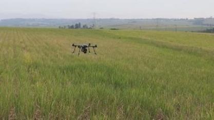 Startup cria drone movido a etanol que reduz gastos com baterias tradicionais