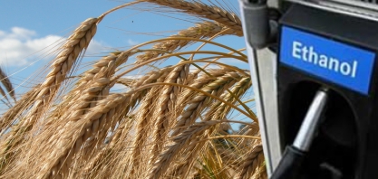Biocombustíveis serão tema de debates no Fórum Nacional do Trigo