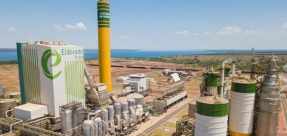 Setor de base florestal movimenta mercado de trabalho em MS