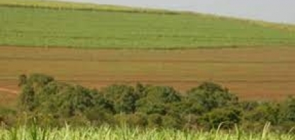 Brasilcom vê ‘falta’ de CBios após 2023