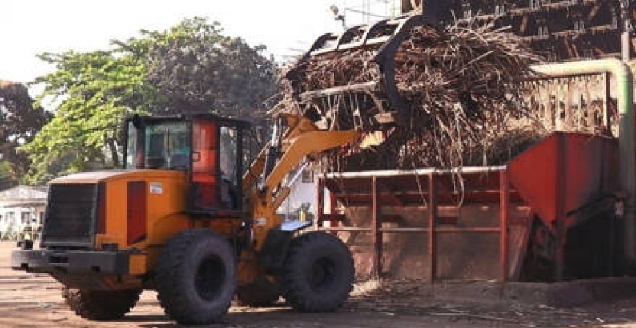 Safra dos produtores de Alagoas foi superior a quantidade de cana beneficiada pelo estado da Paraíba - Foto: Divulgação 