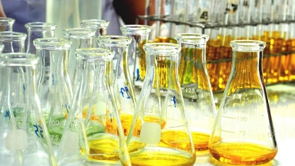 Pesquisa desenvolve bioprocessos para a produção de ácidos orgânicos a partir de matérias-primas renováveis