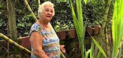 Moradora de Marechal Deodoro surpreendeu vizinhos com cana-de açúcar de seis metros