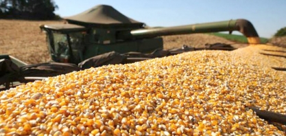 Sorriso: indústria será ampliada para esmagar até 3 milhões de toneladas de milho para produzir etanol