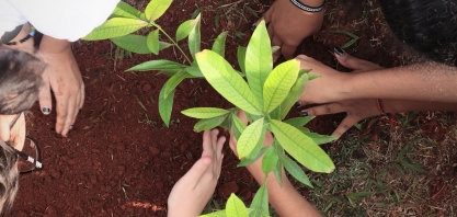 Dedini tem 100% de aprovação para uso do Selo Verde Chico Mendes
