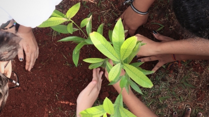Dedini tem 100% de aprovação para uso do Selo Verde Chico Mendes