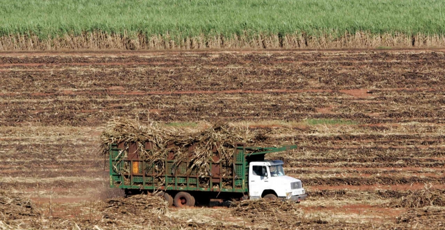 Safra de cana segue sob incertezas quanto à real capacidade de produção (Imagem: REUTERS/Paulo Whitaker)