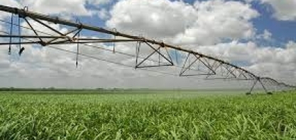 Crédito Rural/Safra 2022/23: BNDES suspende pedidos de financiamento para algumas linhas de investimento