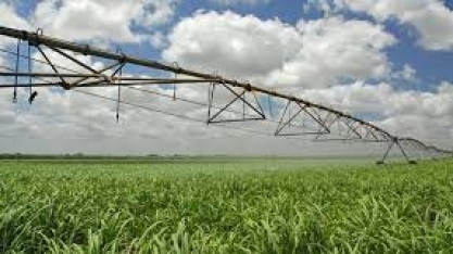 Crédito Rural/Safra 2022/23: BNDES suspende pedidos de financiamento para algumas linhas de investimento