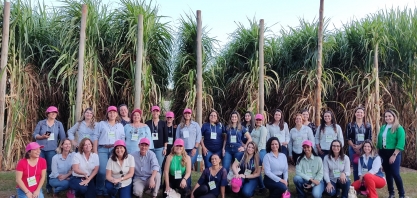 Cana com 6 metros de altura, com 85 mil colmos por hectare e com produção em cana-planta acima de 300 toneladas/ha