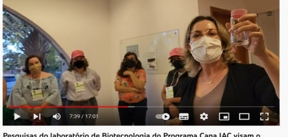 Pesquisas do laboratório de Biotecnologia do Programa Cana IAC visam o futuro sustentável da cana