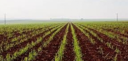 Tereos realiza testes com veículos da frota agrícola abastecidos com biometano