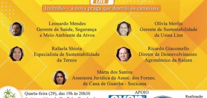 Incêndio – a nova praga que destrói os canaviais
