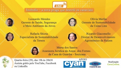 Incêndio – a nova praga que destrói os canaviais