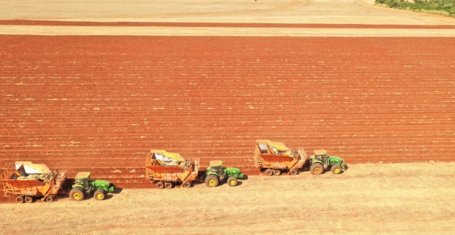 No mês de abril, a Usina Lins bateu o recorde de plantio, plantando 3.748,78 hectares de cana-de-açúcar. Fotos: Divulgação Usina Lins