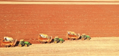 Recorde no plantio da Usina Lins é resultado do aprimoramento de processos e pessoas