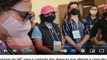 As pesquisas do IAC para o controle das doenças que afetam a cana-de-açúcar