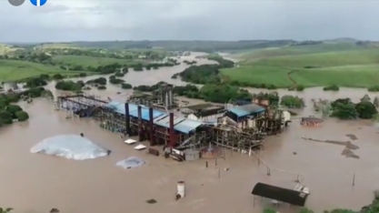 Fortes chuvas causam alagamentos e usinas de Pernambuco e Alagoas são invadidas pelas águas