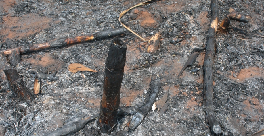 A cana não quer mais fogo