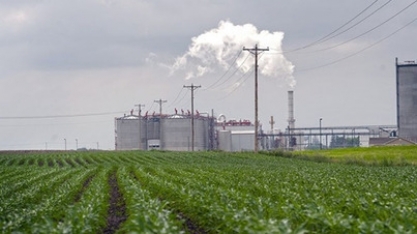 Milho/USDA: uso para etanol nos EUA aumenta 7% em maio, para 11,33 milhões de toneladas