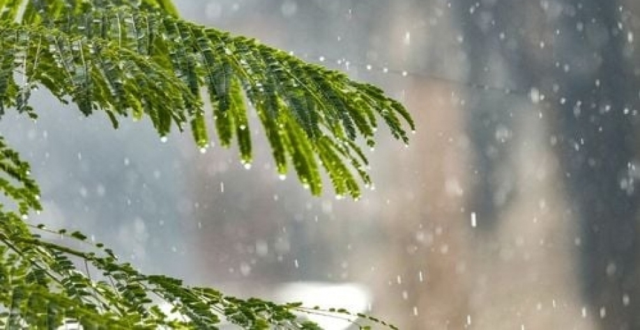 Foto: Reprodução/Canva