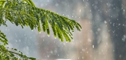 Por que o La Niña está influenciando tanto as safras brasileiras?