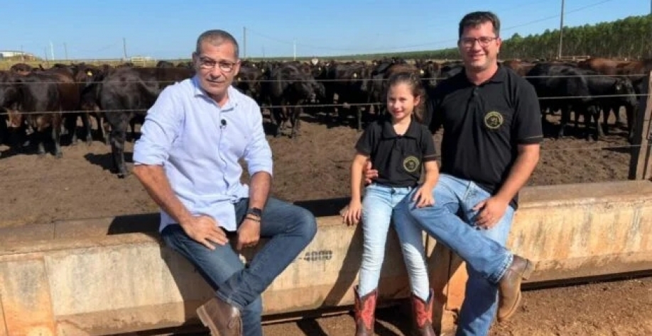 Conheça o produtor que planta floresta para biomassa e confina bois usando DDG úmido