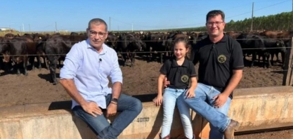 Conheça o produtor que planta floresta para biomassa e confina bois usando DDG úmido