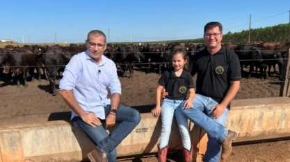 Conheça o produtor que planta floresta para biomassa e confina bois usando DDG úmido