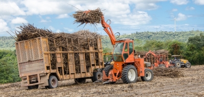 Safra canavieira 2022/2023 na Paraíba começa nesta segunda-feira