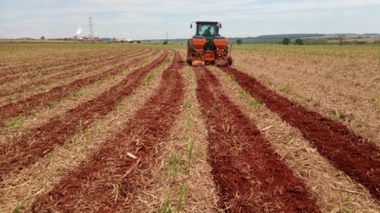 Incorporar e aleirar a palha contribuem para menor ocorrência de incêndios nos canaviais