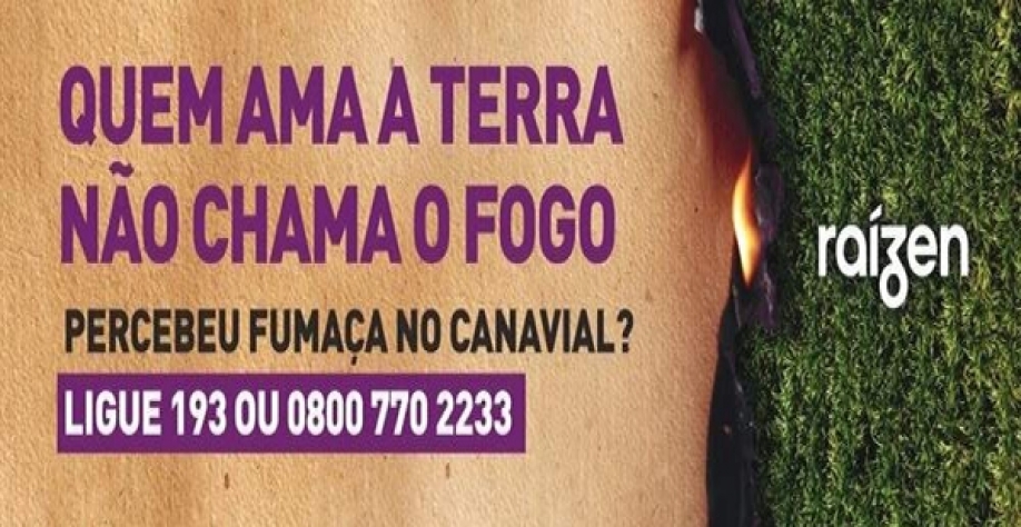 Imagem: Divulgação