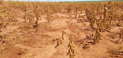 La Niña até o verão de 2023 pode levar à quebra de safra de soja no Sul