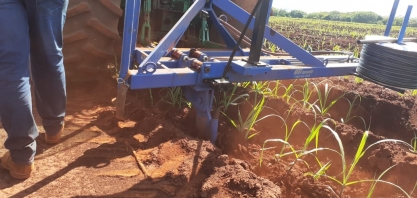 Irrigação por gotejo será essencial para Usina Alta Mogiana verticalizar produção e eliminar capacidade ociosa da indústria