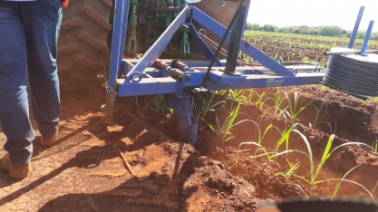 Irrigação por gotejo será essencial para Usina Alta Mogiana verticalizar produção e eliminar capacidade ociosa da indústria