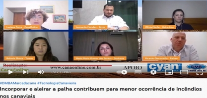 Incorporar e aleirar a palha contribuem para menor ocorrência de incêndios nos canaviais